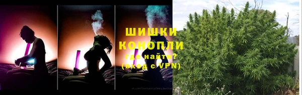 дживик Богородск