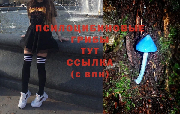 дмт Беломорск