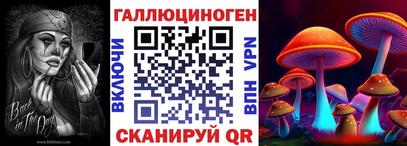 Псилоцибиновые грибы Psilocybe  Купить где  Камешково 